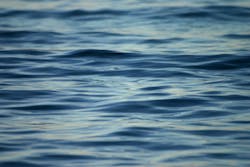 1655260266669 462953 98735078 1655260266669 462953 98735078