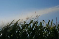 1655260268543 834036 67123446 1655260268543 834036 67123446