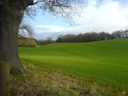 1655260276563 1350249 75546638 1655260276563 1350249 75546638