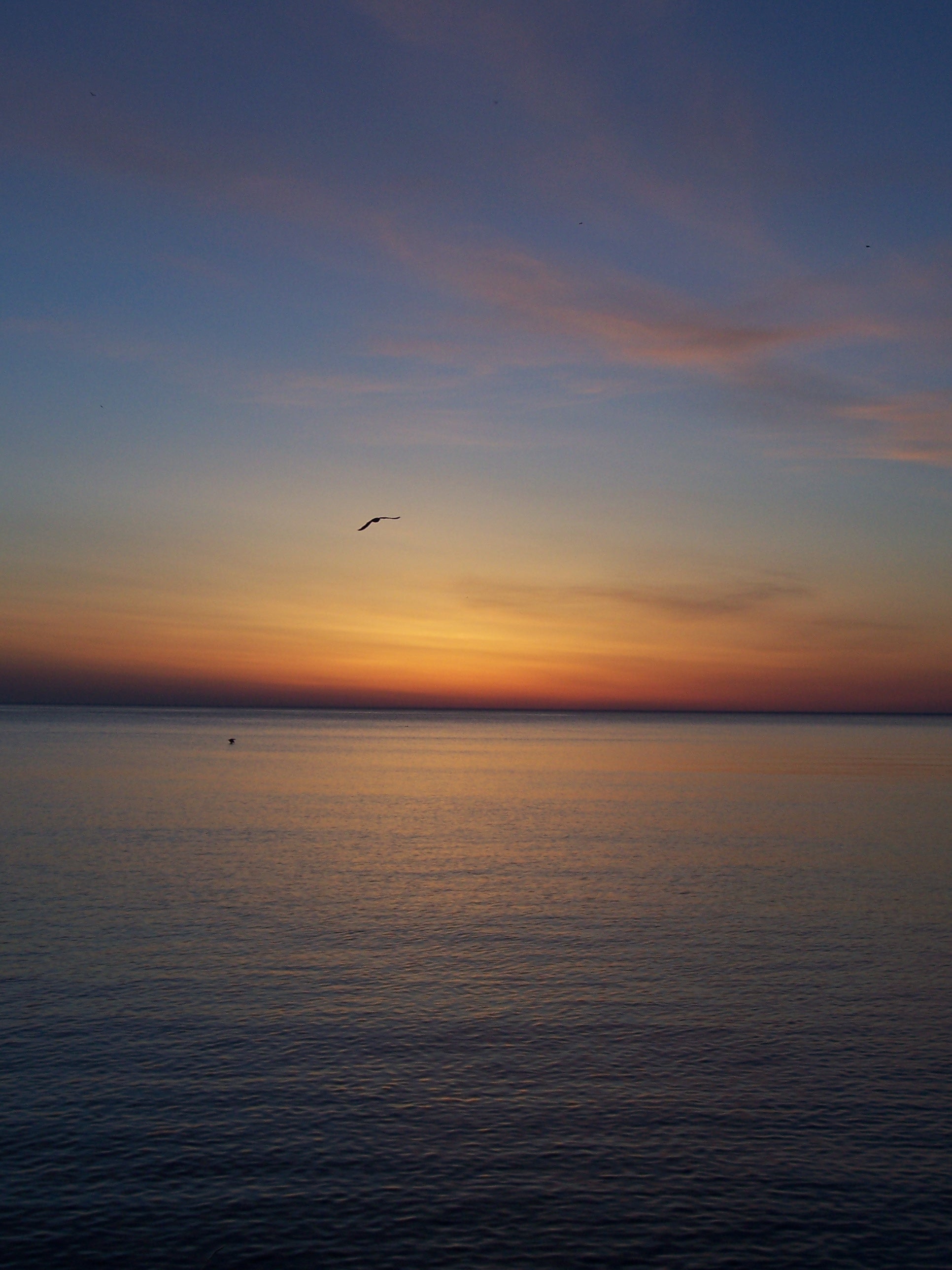 1655260294093 512727 98157652