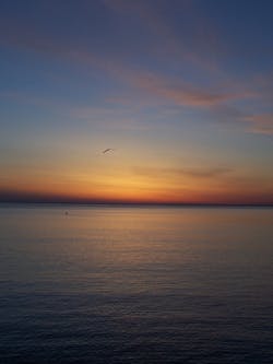 1655260294093 512727 98157652 1655260294093 512727 98157652