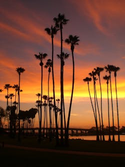 1655260297535 1365636 14959810 1 1655260297535 1365636 14959810 1