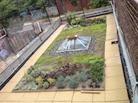 1655260300346 Ny Green Roofs The Point Lower Roof 2