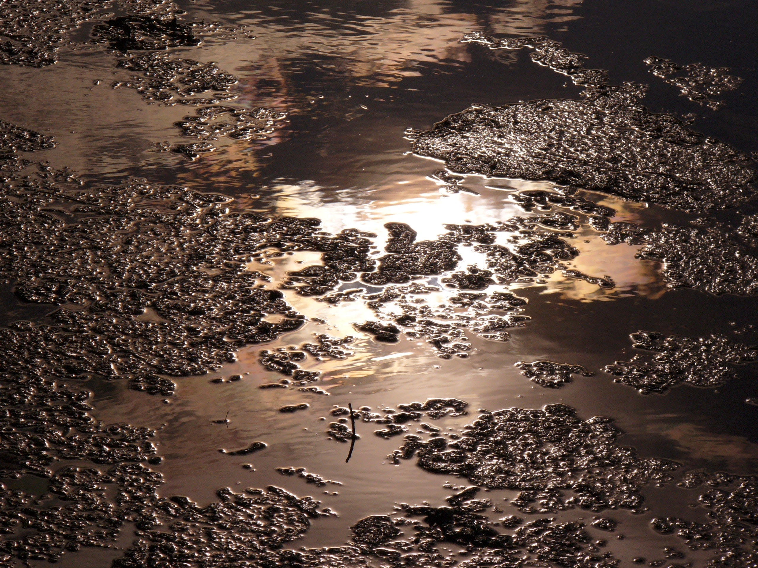 1655260306715 San Antonio Clean Water Act Violations