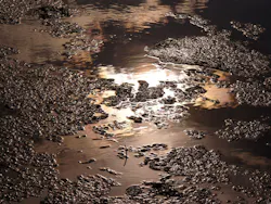 1655260306715 San Antonio Clean Water Act Violations 1655260306715 San Antonio Clean Water Act Violations