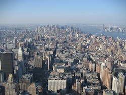 1655260308558 Dewberry Queens New York 1655260308558 Dewberry Queens New York