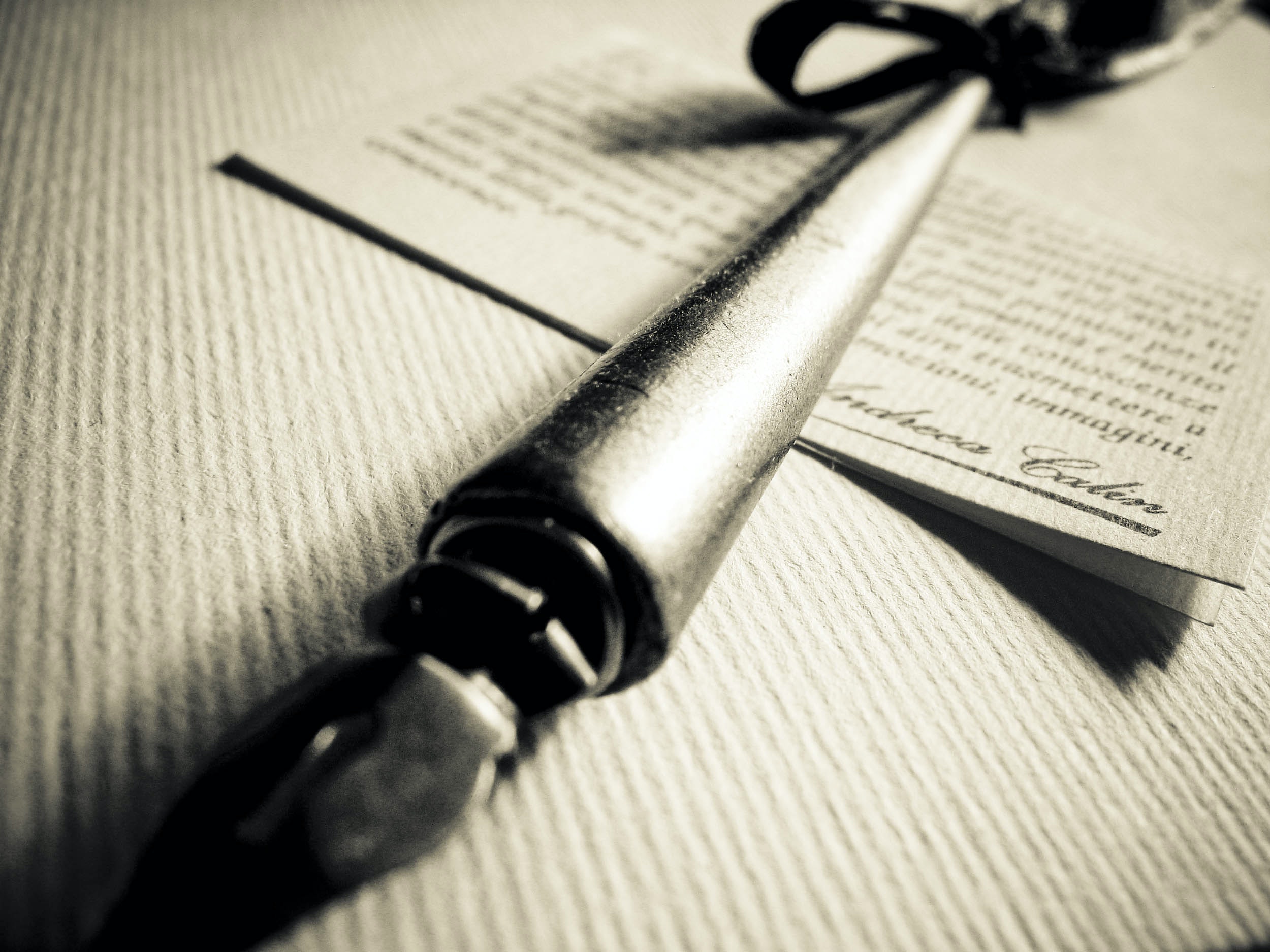 1655260309786-finn_corp_bobcat_of_nashville