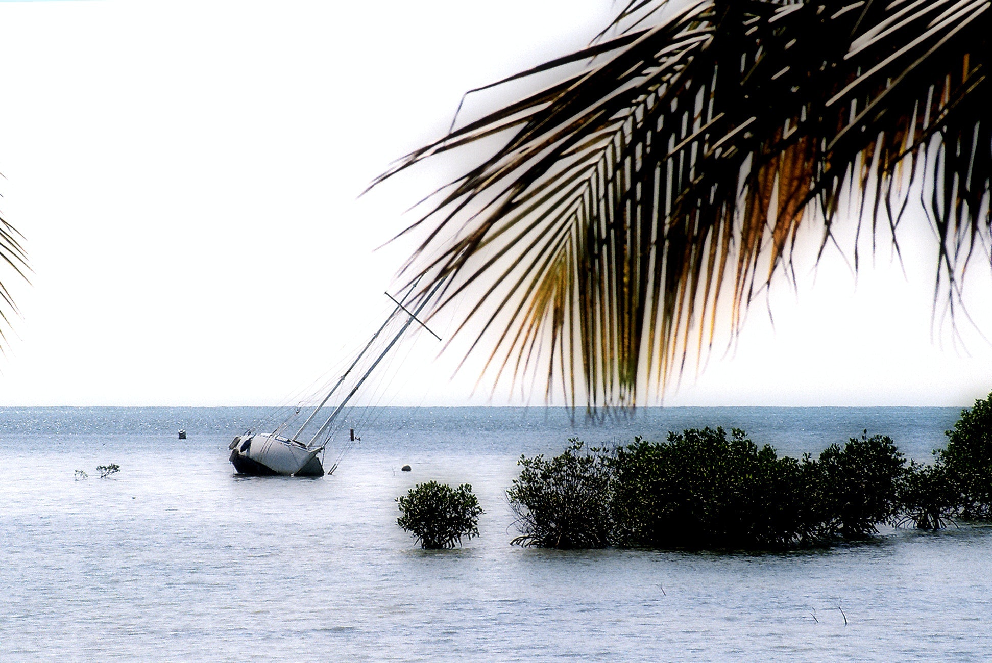 1655260313175 The Nature Conservancy And Wetlands Intl