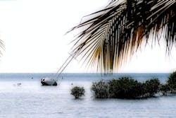 1655260313175 The Nature Conservancy And Wetlands Intl 1655260313175 The Nature Conservancy And Wetlands Intl