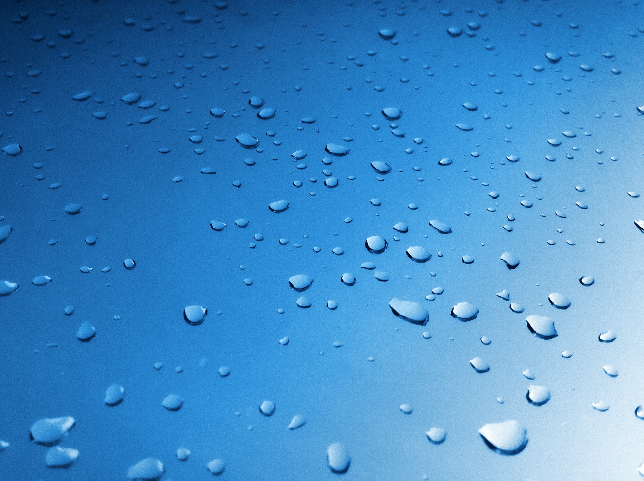 1655260315486 Raindrops