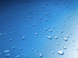 1655260315486 Raindrops 1655260315486 Raindrops