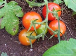 1655260321967 193921 9065 0 1655260321967 193921 9065 0