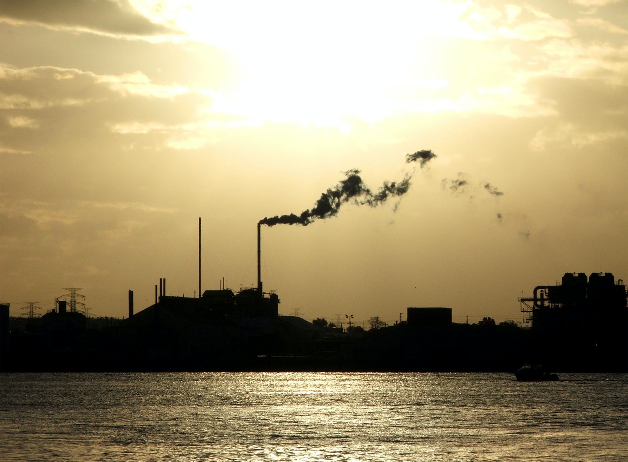 1655260322595 897251 42226678