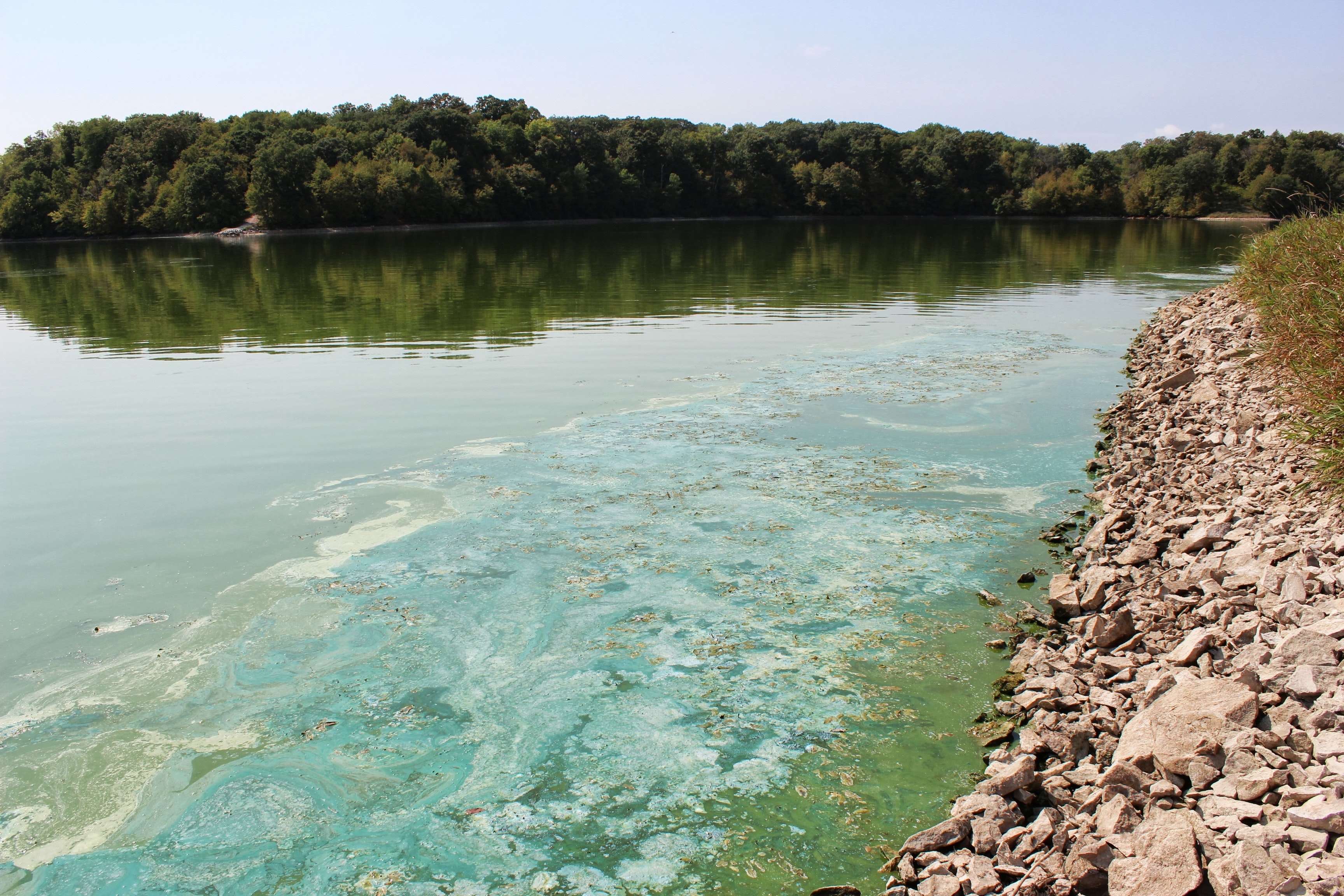 Court Ruling Forces EPA Action On Mississippi River Pollution ...