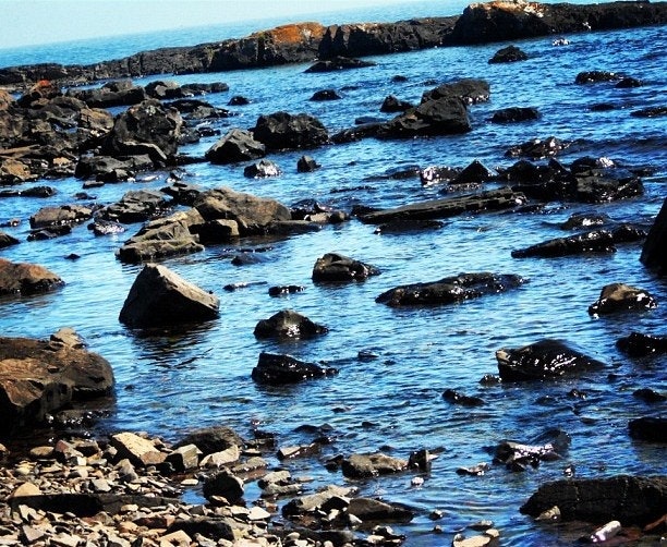 1655260330925-1405382_18844451