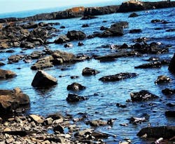 1655260330925 1405382 18844451 1655260330925 1405382 18844451