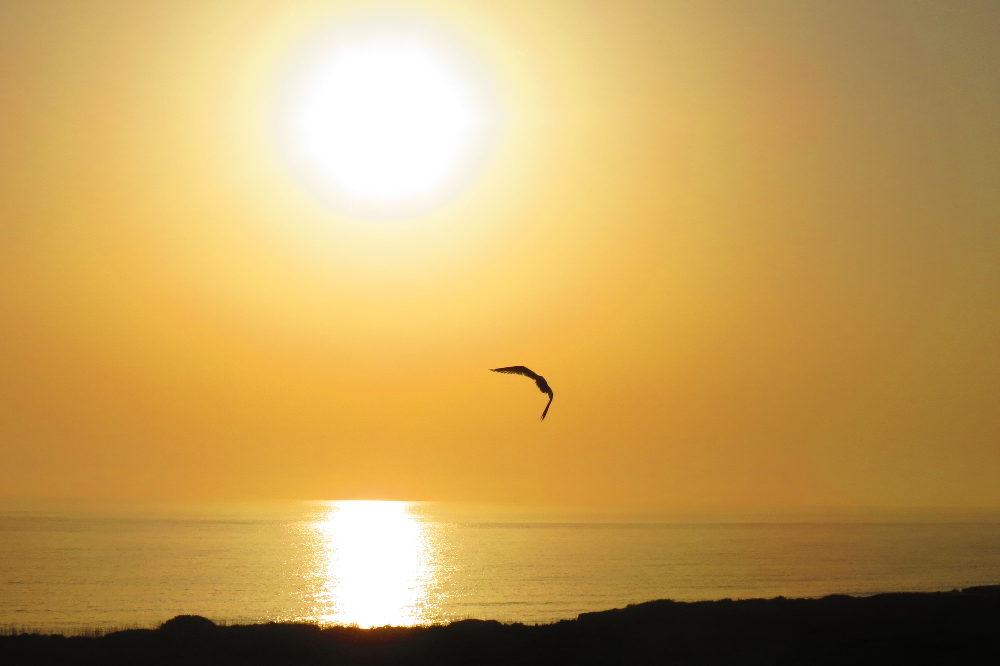 1655260334050 1426646 14482554