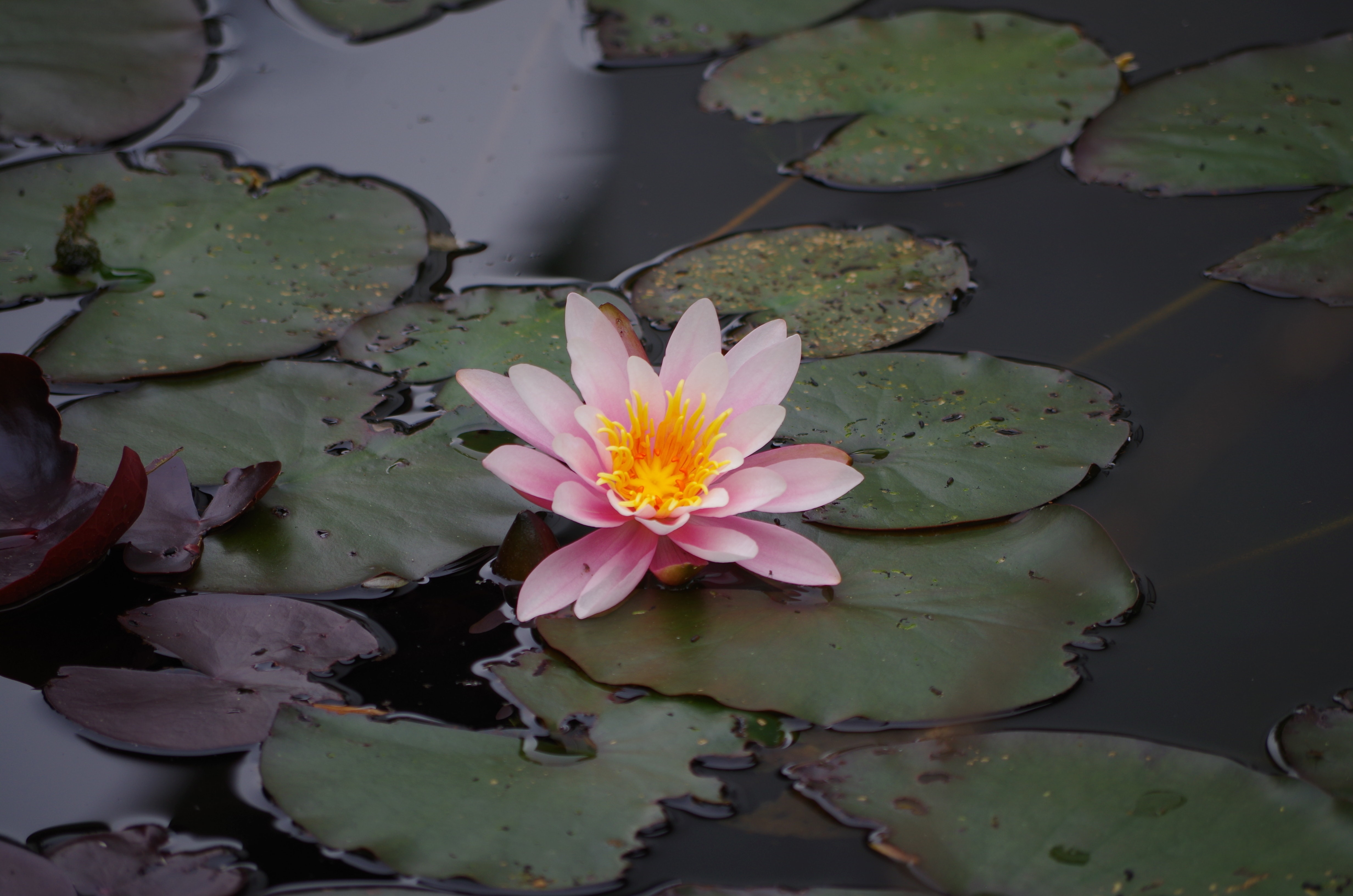 1655260341770 1425353 57243384