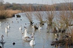 1655260346558 1379727 89508041 1655260346558 1379727 89508041