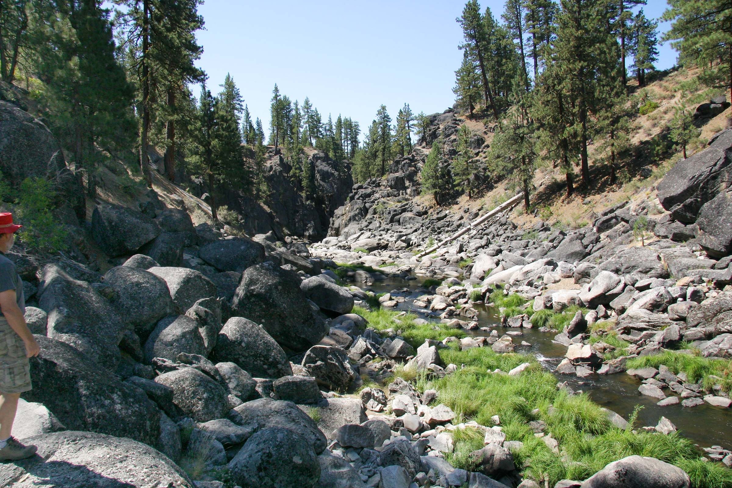 1655260350016 Photo 267 20051027