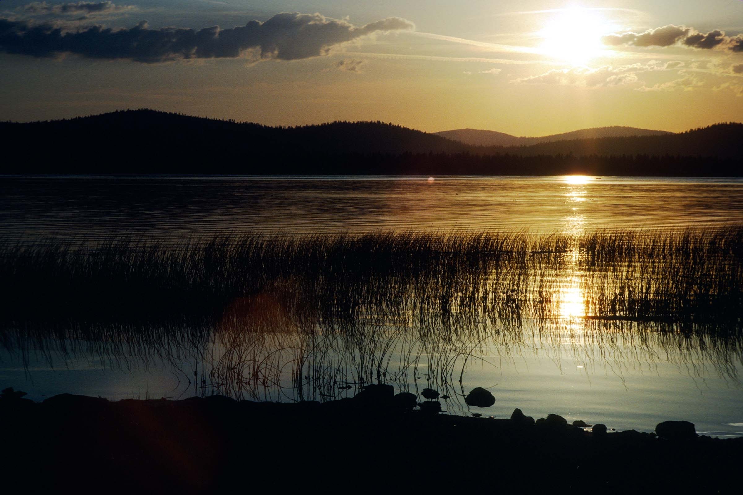 1655260351857 Photo 1765 20060705