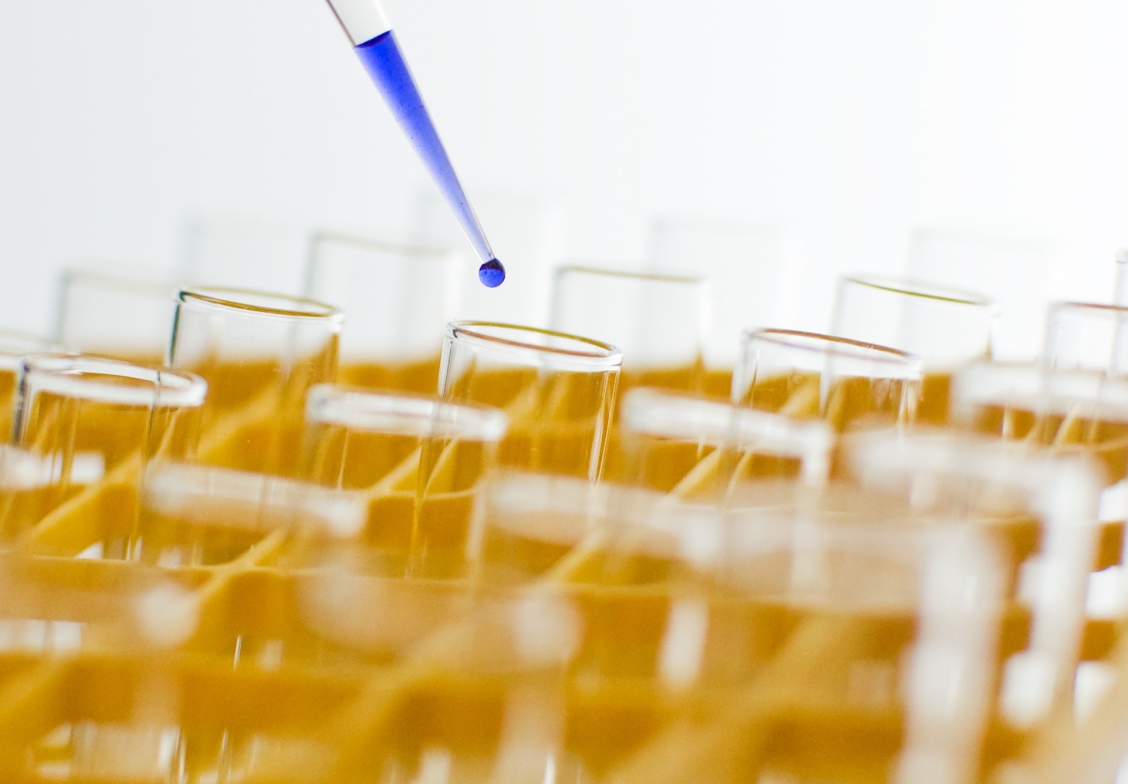 1655260354473 Epa Student Awards