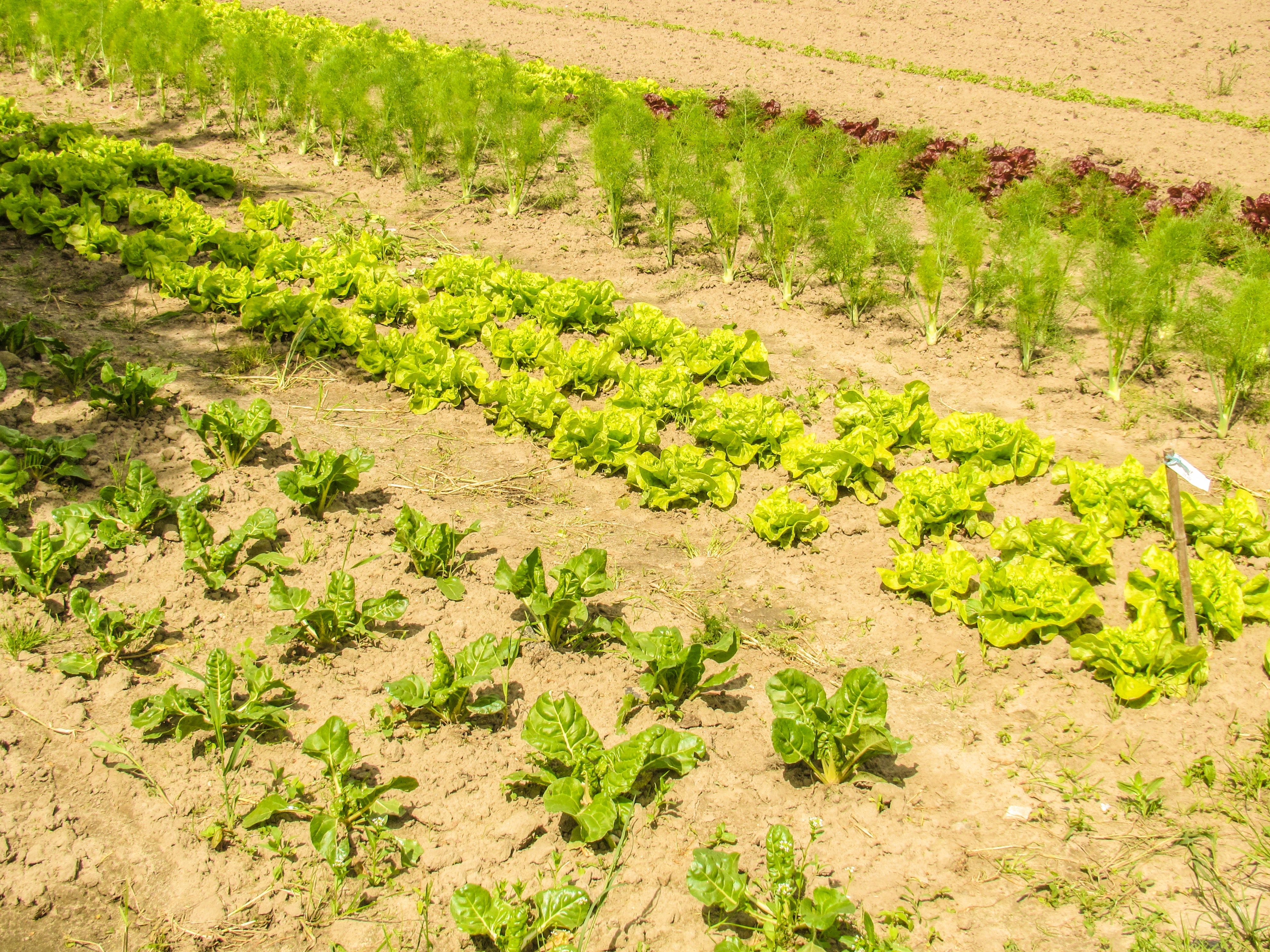 1655260367751 Bgu Study Groundwater Pollution