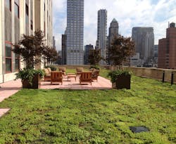 1655260371197 Xfa Esb 21e 2 1655260371197 Xfa Esb 21e 2