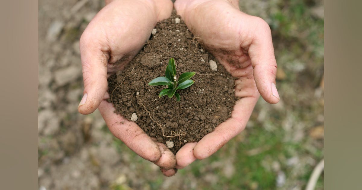 Professor to Address Urban Soil Quality, Compost | Stormwater Solutions