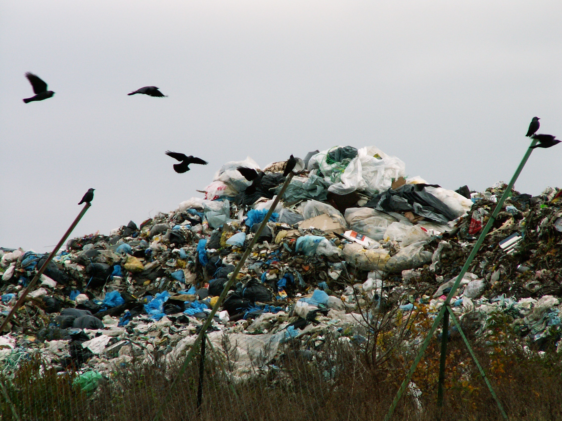 1655260376750 Epa Brownfields Site Cleanup