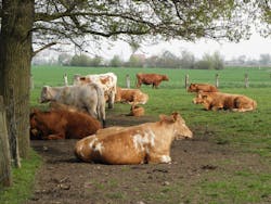 1655260384167 Iowa Cwa Permit And Compliance 1655260384167 Iowa Cwa Permit And Compliance