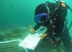 1655260403731 Atkins Seagrass Transplants 1655260403731 Atkins Seagrass Transplants