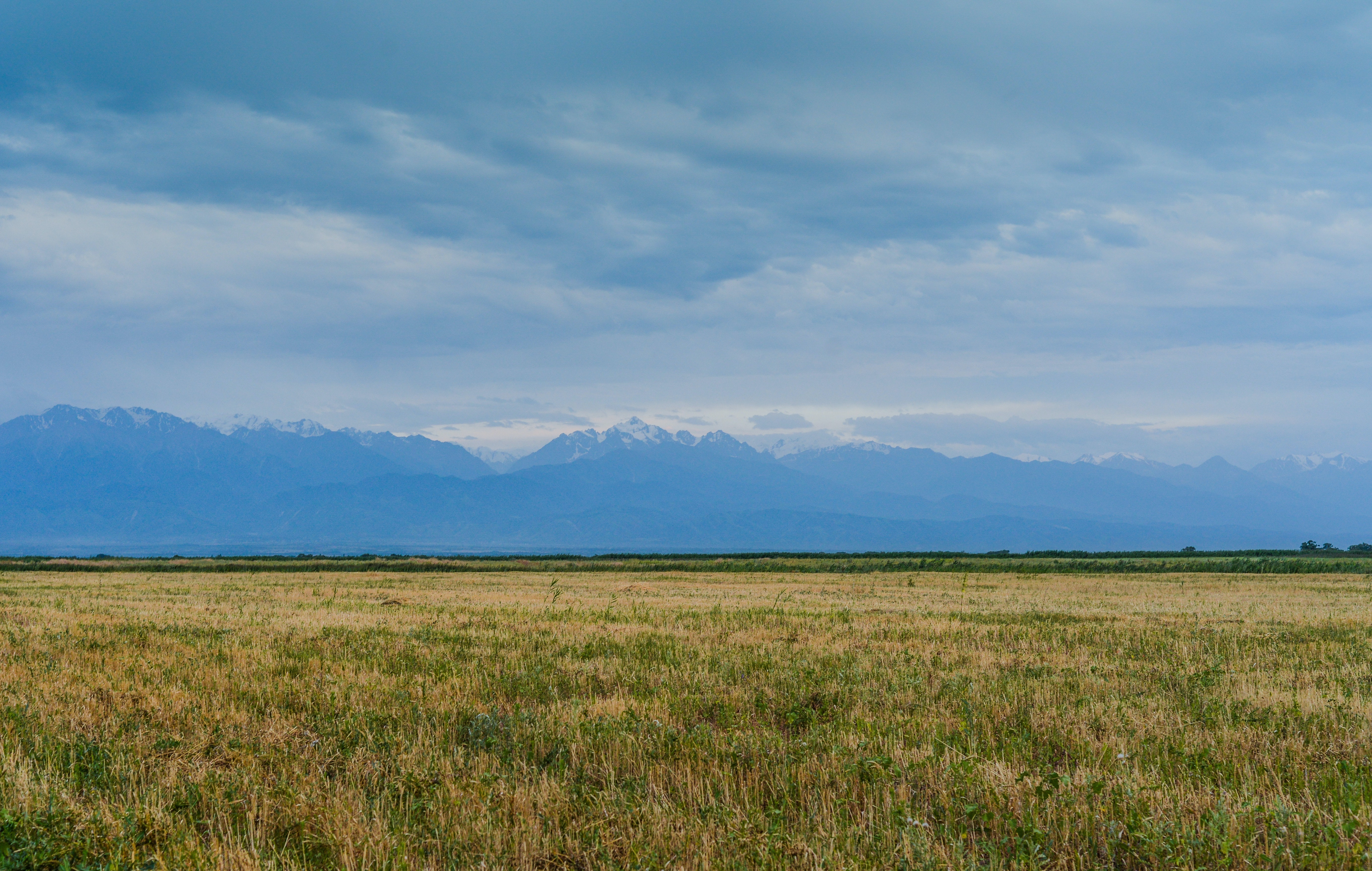 1655260415694 Soil In The City Conference