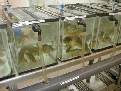 1655260432086 Image008