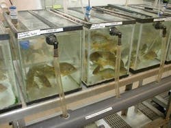 1655260432086 Image008 1655260432086 Image008