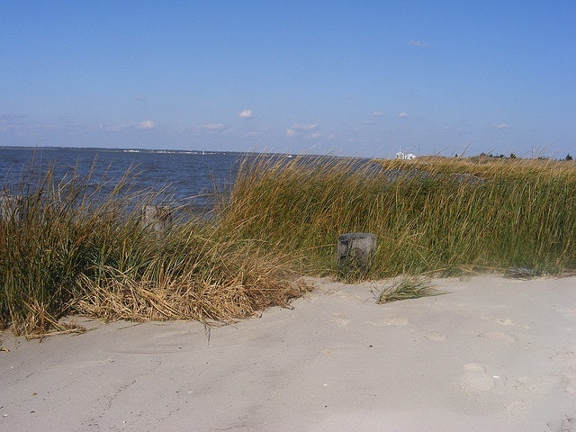 1655260451767 1664213506 95b4885bbb Z