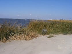 1655260451767 1664213506 95b4885bbb Z 1655260451767 1664213506 95b4885bbb Z