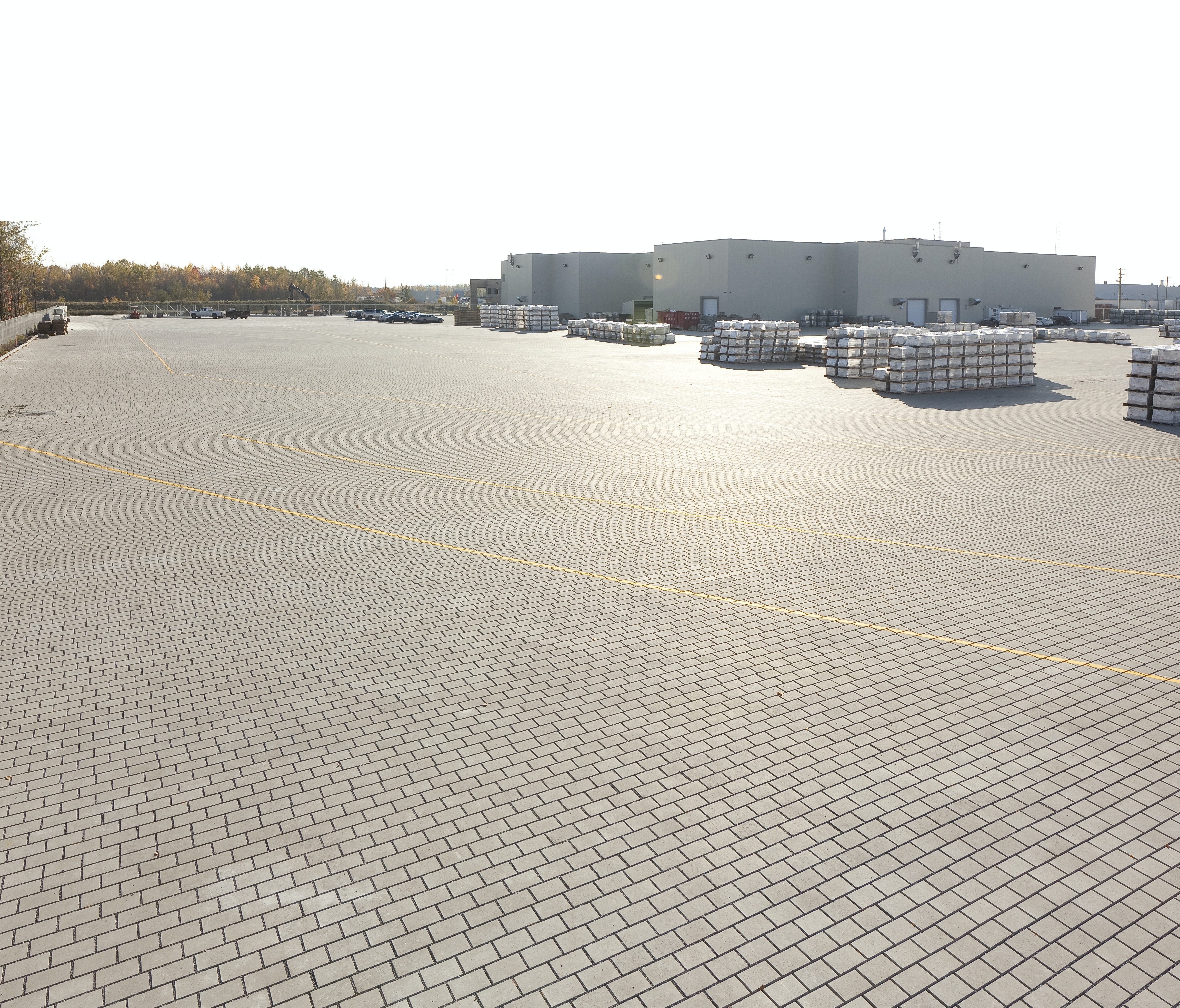 1655260456942 Inflo 0670