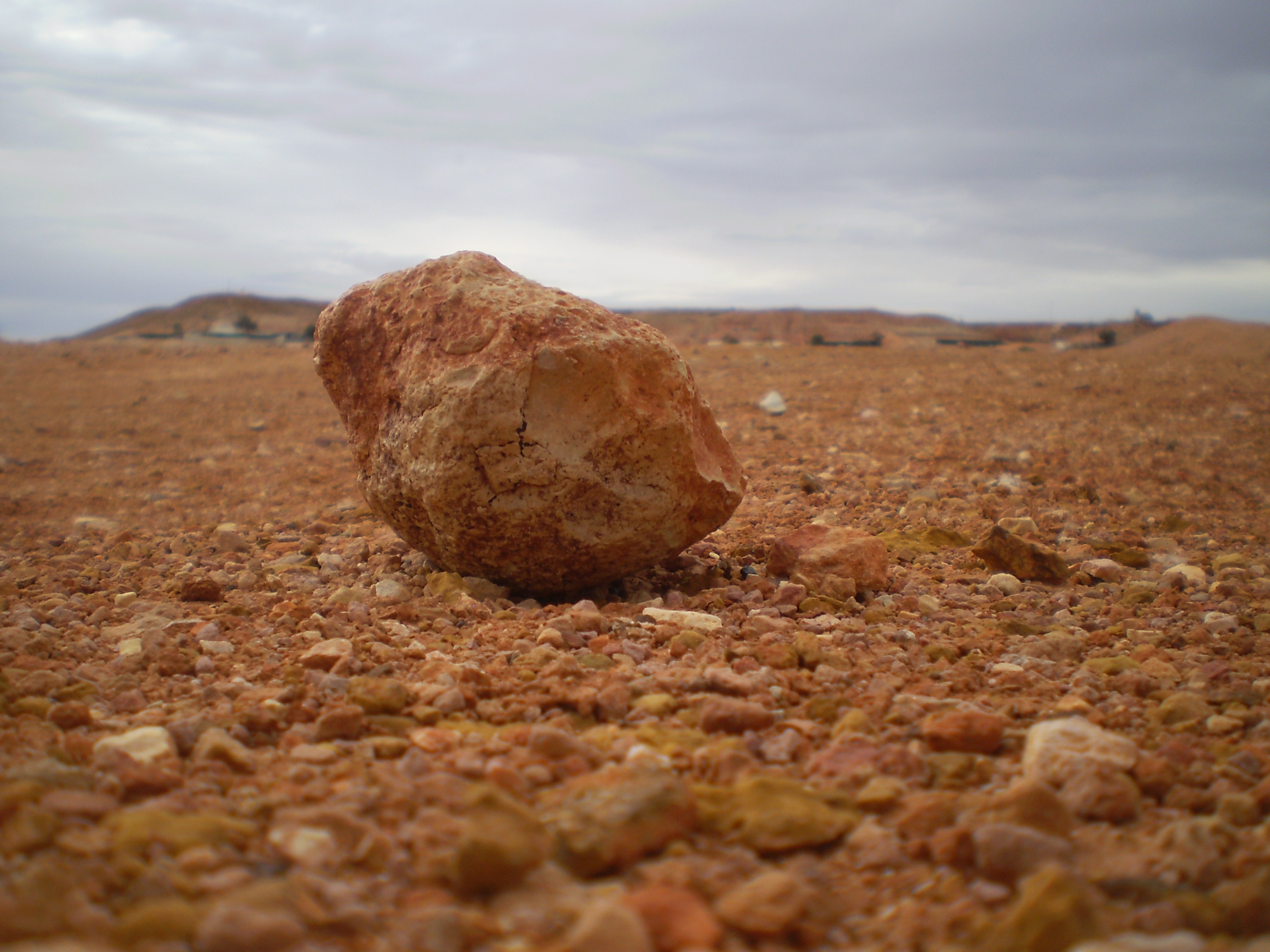 1655260458552 Photo 15396 20091109