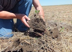 1655260460213 7351444318 432303272f Z 1655260460213 7351444318 432303272f Z