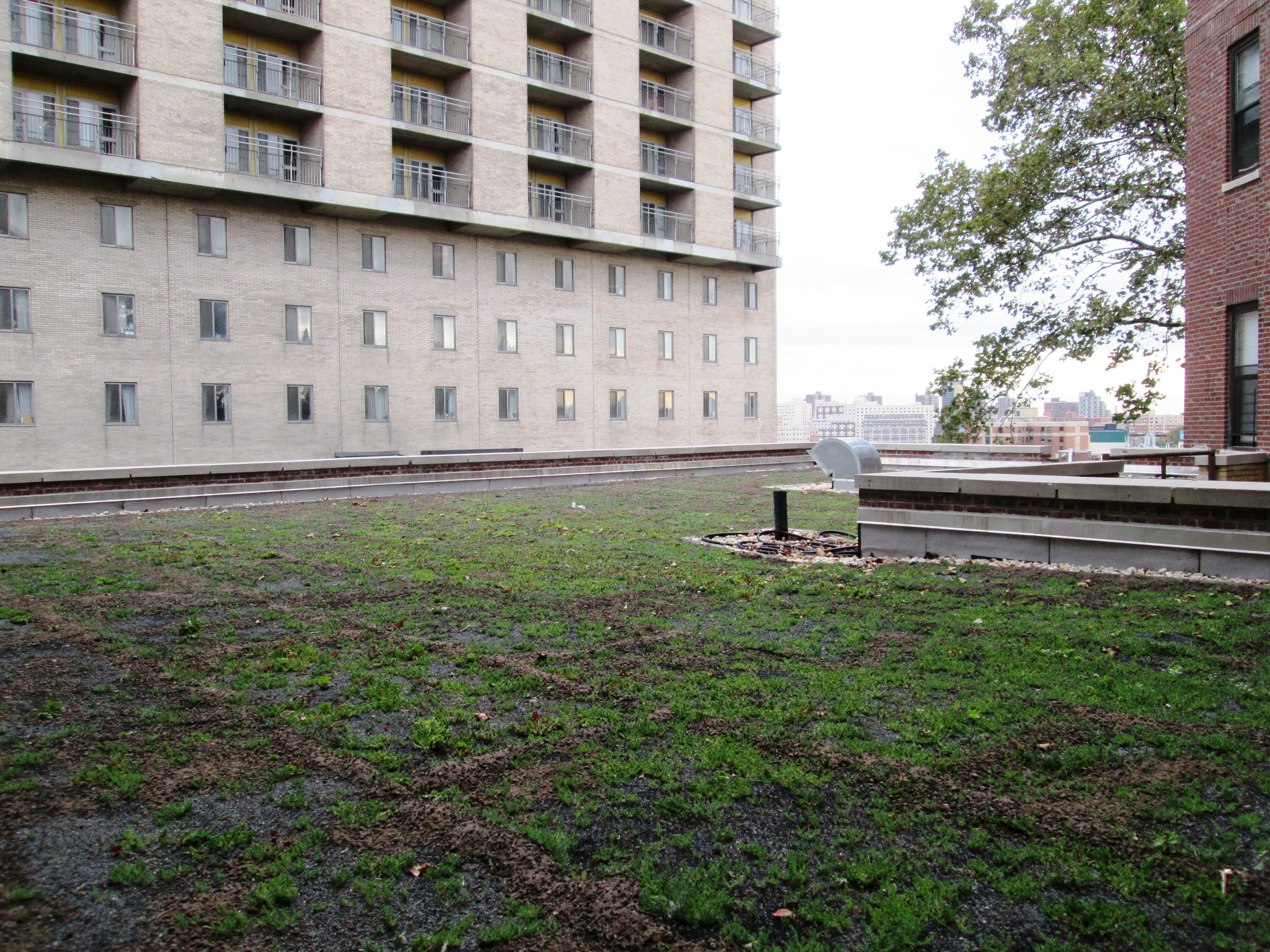 Green Roof System Selected for New York Apartments Stormwater Solutions