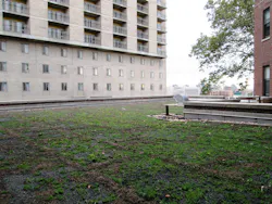 1655260467994 Xero Flor America Bronx Apartments 1655260467994 Xero Flor America Bronx Apartments