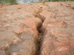 1655260469847 Terra Nova Ditributor 1655260469847 Terra Nova Ditributor