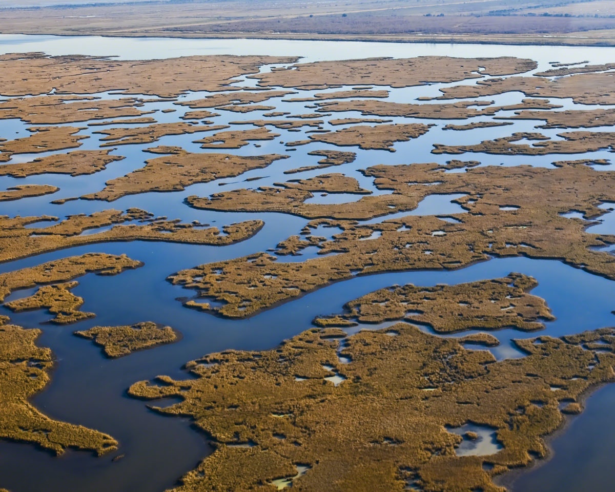 1655260471489 Gulfcoastwetlands