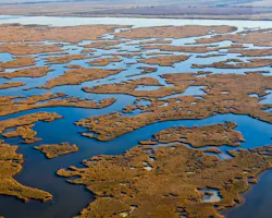 1655260471489 Gulfcoastwetlands 1655260471489 Gulfcoastwetlands