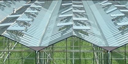 1655260472343 Unnamed 1