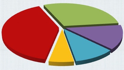 1655260489082 Budgetpiechart