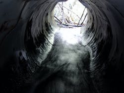 1655260490159 Springfield Environmental Innovation Award 1655260490159 Springfield Environmental Innovation Award