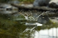 1655260490424 Water12