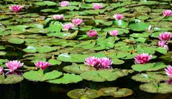 1655260494003 1446045 27336929 1655260494003 1446045 27336929